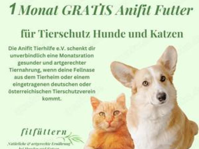 1 Monat gratis Anifit Futter für Tierschutz Hunde und Katzen - 1